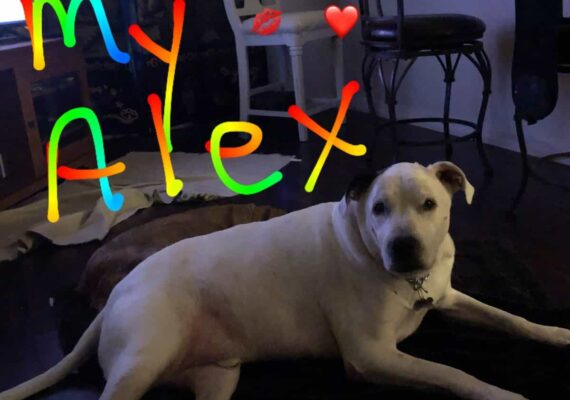 Alex