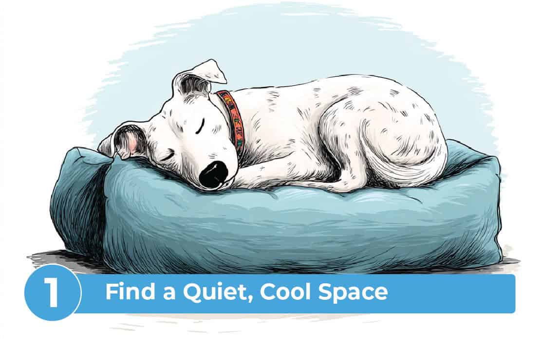after_pet_passes_away_NPL-07 Step 1 after a pet passes away, Cool Quiet Space