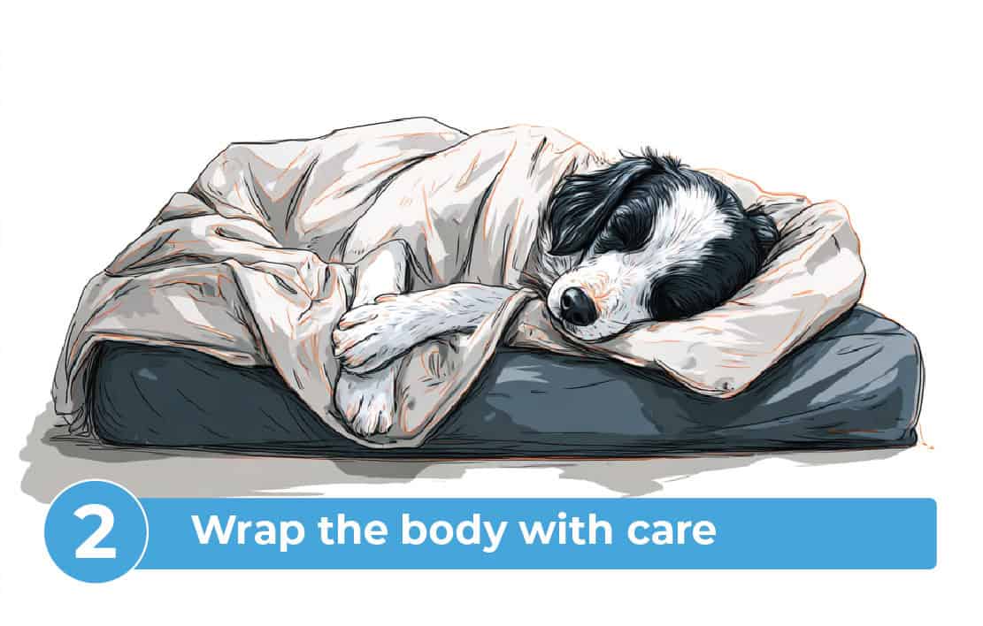 after_pet_passes_away_NPL-08 Step 2 after a pet passes away, wrap body with care