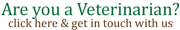 Are You A Veterinarian? Get In Touch With Us