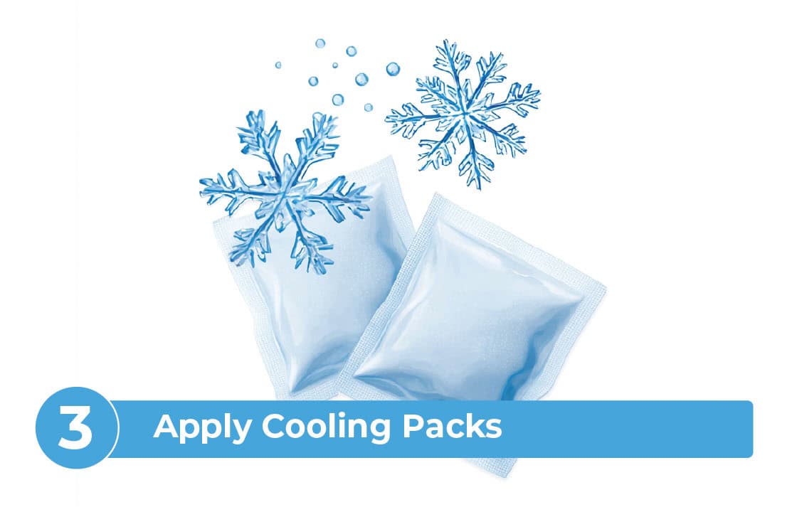 steps-after_pet_passes_away_NPL-07 Step 3 after a pet passes away, apply ice or cooling packs